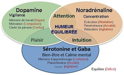 Domamine Noradrenaline Serotonine et Gaba dans le TDAH 